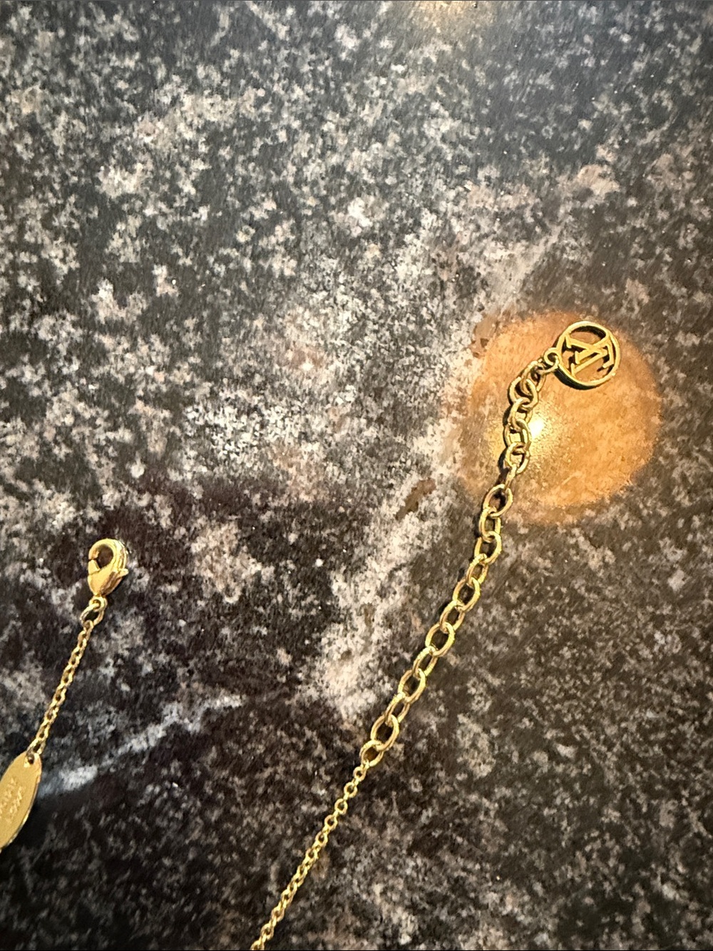 Louis Vuitton Iconic Enamel Necklace - Picture 12 of 14